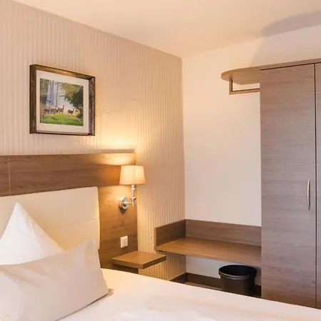 Parkhotel Luise Bad Herrenalb