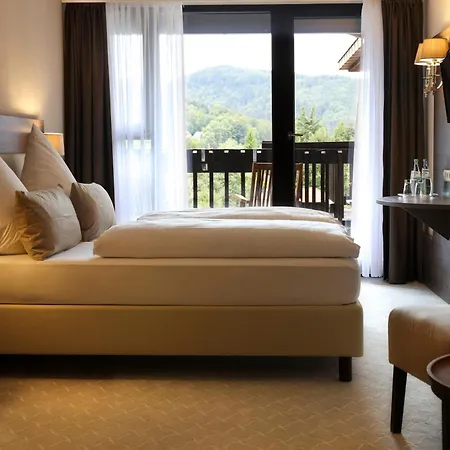 Hotel Parkhotel Luise Bad Herrenalb