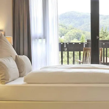 Hotel Parkhotel Luise 3*