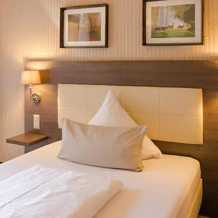 Hotel Parkhotel Luise