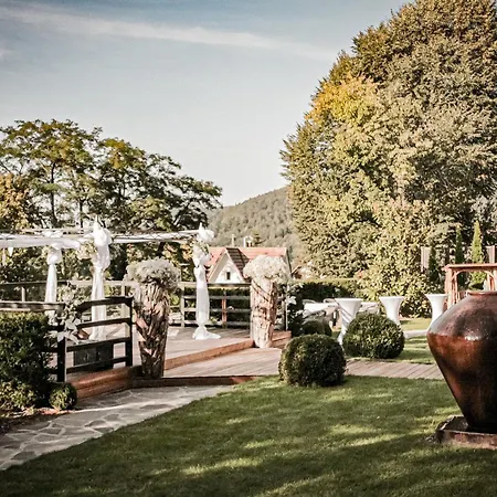 Hotel Parkhotel Luise